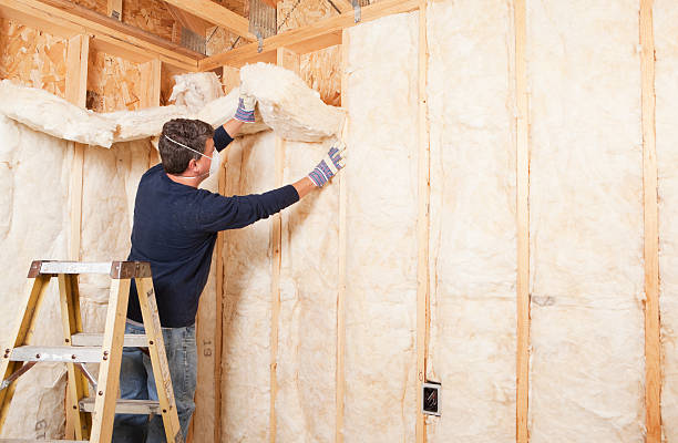 Best Basement Insulation  in Center Point, IA